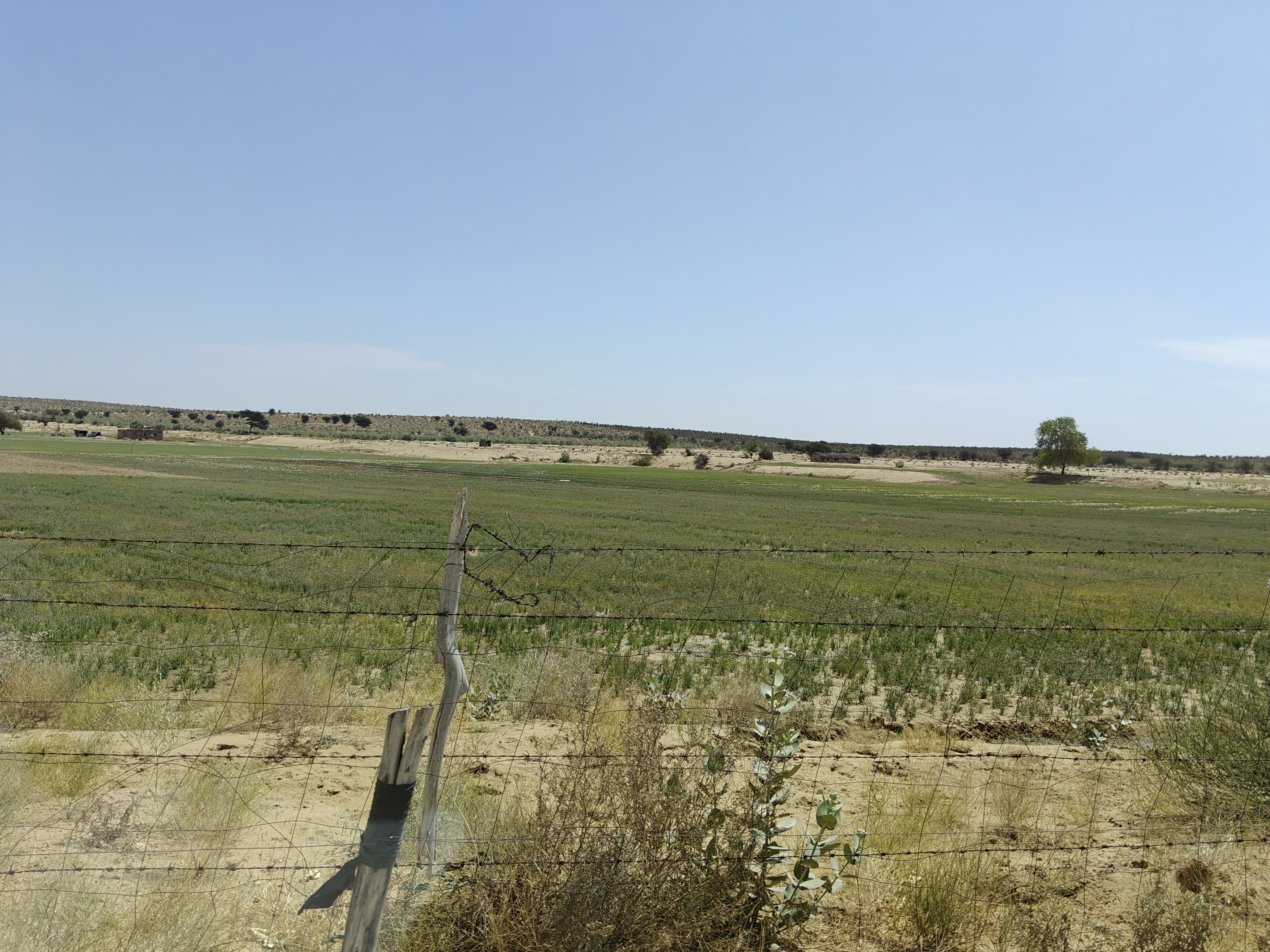 Compensatory Afforestation